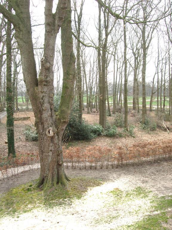 Landgoed De Lavei Bed and Breakfast Weleveld Exterior foto